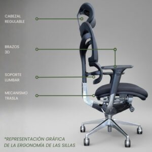 partes y ajustes de una silla ergonómica explicados visualmente
