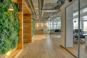 Oficina con diseño biofílico, vegetación natural y materiales sostenibles que fomentan bienestar y productividad en el trabajo.