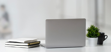 ¿Cuáles son las plantas de interior más adecuadas para una oficina con poca luz?