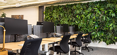 Innova en tu oficina con los jardines verticales interiores
