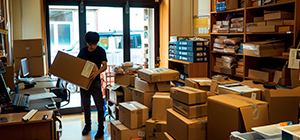 Distintos tipos de carpetas, ordena tu oficina