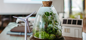 Crear una oficina ecológica eco-friendly