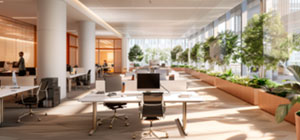 Organización de espacios por departamentos: mejora la eficiencia en tu empresa