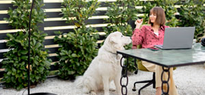 Cómo implementar zonas de trabajo outdoor para oficinas que aprovechen el entorno natural